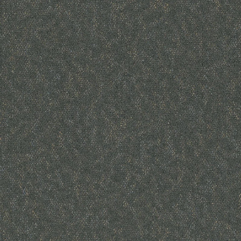 Pentz Carpet Animated 7040T-2134 Perky 24" x 24" (72 SF/Box)