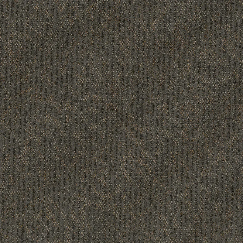 Pentz Carpet Animated 7040T-2128 Eager 24" x 24" (72 SF/Box)